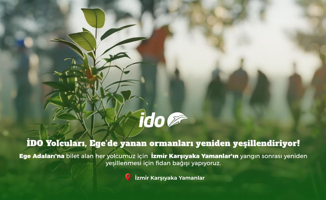 IDO passengers are re-greening the forests burned in the Aegean!